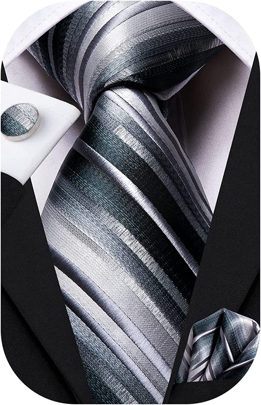 Dubulle Mens Paisely Silk Tie for Men Necktie and Pocket Square Set - Image 1